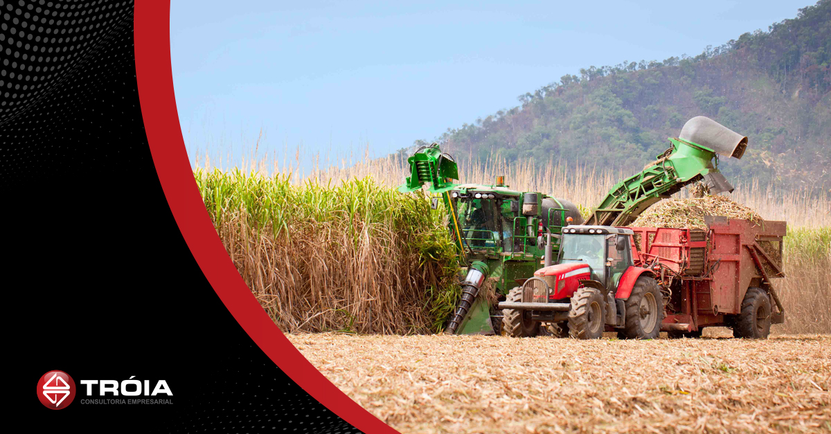 CARF admite créditos de PIS e COFINS sobre dispêndios incorridos no cultivo da cana (fase agrícola) para fabricação do açúcar e do álcool